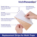 How to Replace Clothes Moth and Carpet Moth Trap Refills