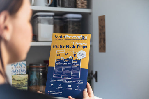 How Pantry Moths Get Into Kittery Cupboards