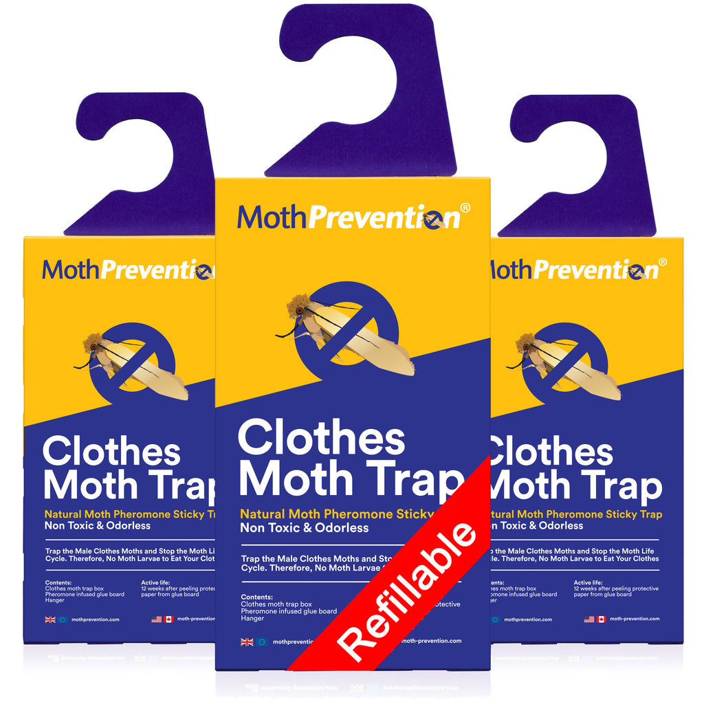 Clothes Moth Trap - Twinpack